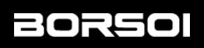 Borsoi S.r.l. - Nissan Treviso